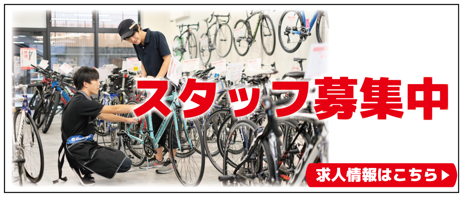 店長候補・ストアスタッフ募集中 ！！ | ロードバイクなどスポーツ自転車買取専門のバイチャリ