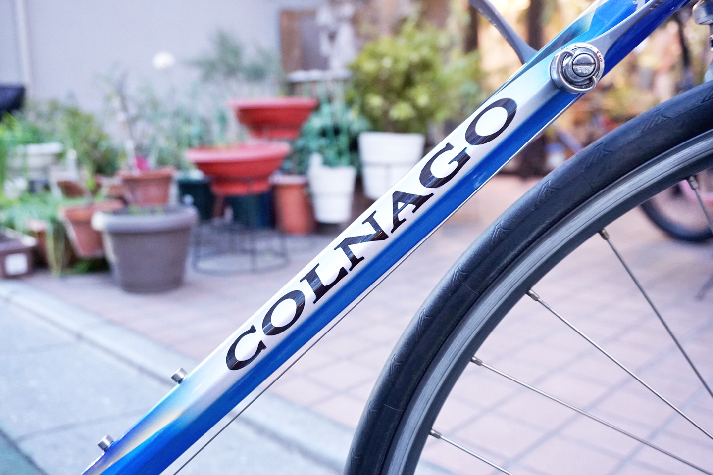 現品渡し！COLNAGOに勝ったイタリアンの巨匠ピトン本人製作のクロモリロード aIMG_1734a.jpg
