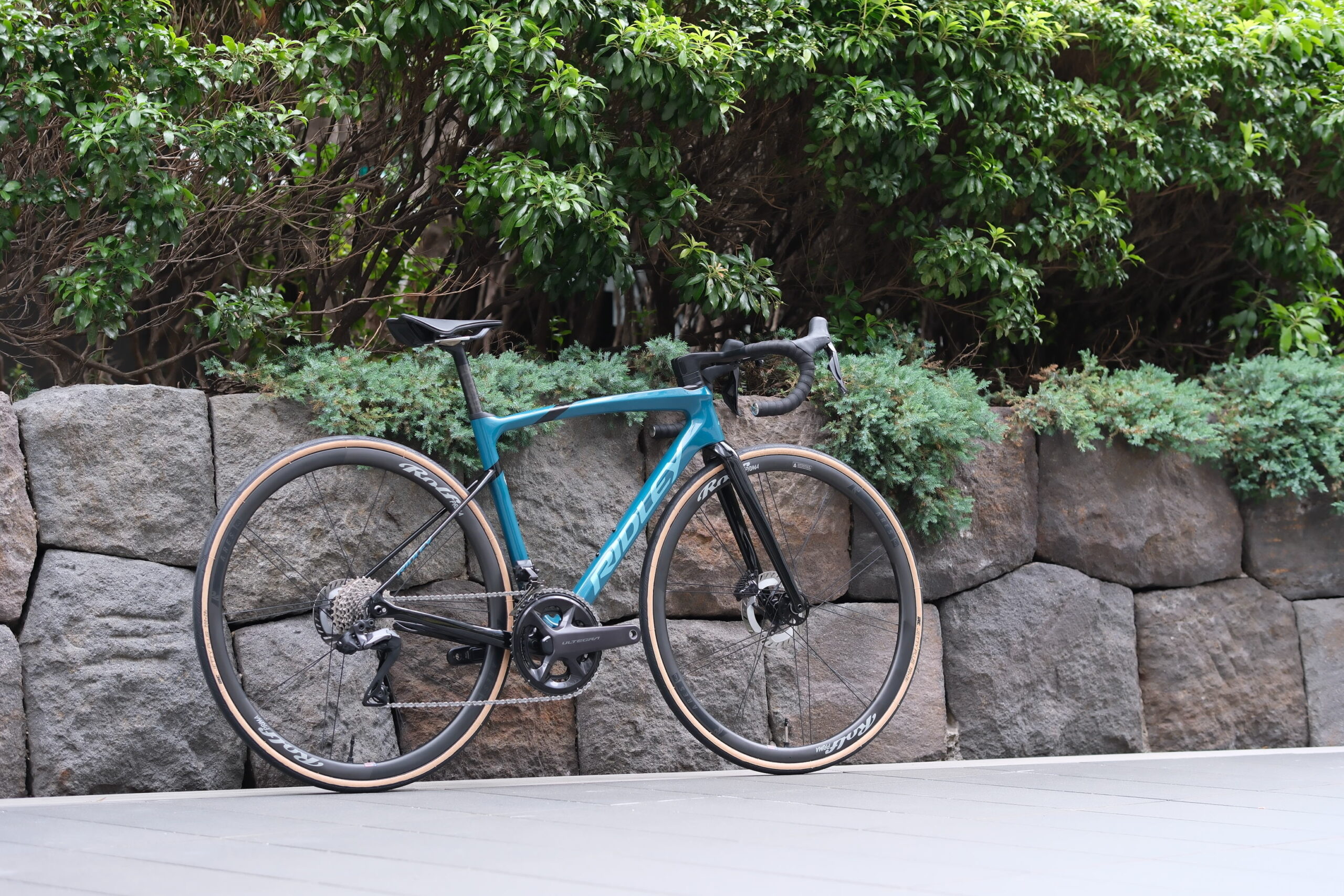 AKIBA買取実績】RIDLEY（リドレー）FENIX（フェニックス）2024年モデル